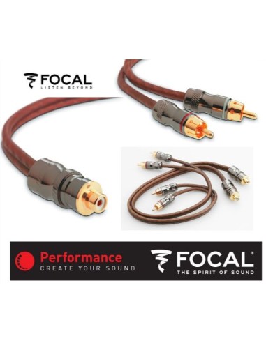 Coppia Cavo Y / Sdoppiatore RCA Focal 1 Femmina 2 Maschi 50 cm