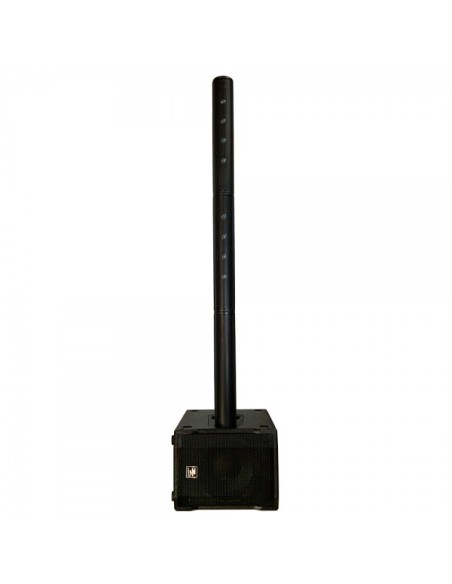 ZZIPP Sistema Vertical Line Array - Sub 10"+ Satellite 430w RMS SPL Max 117db